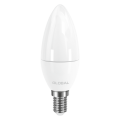 LED лампа GLOBAL C37 CL-F 5W яркий свет 220V E14 (1-GBL-134-02)